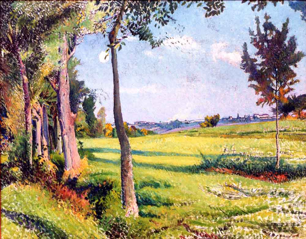 p_Paysage de la Zere_r
